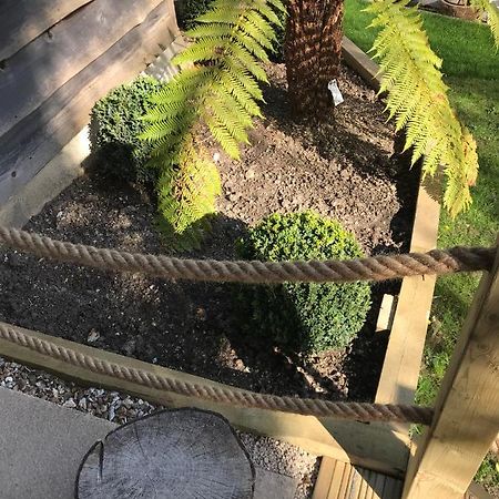 Winnie's Corner: Secluded Woodland Retreat Carlyon Bay Exterior photo