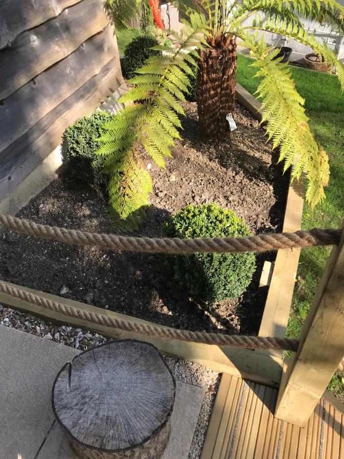 Winnie's Corner: Secluded Woodland Retreat Carlyon Bay Exterior photo